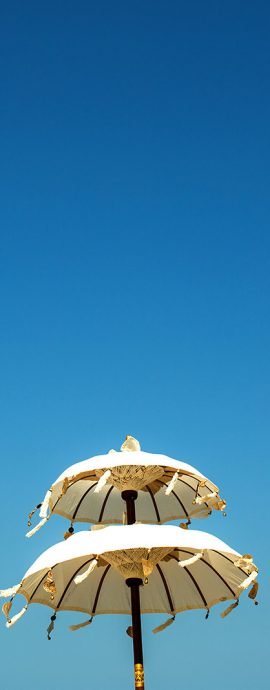 Chloe & Steven Wedding Gallery