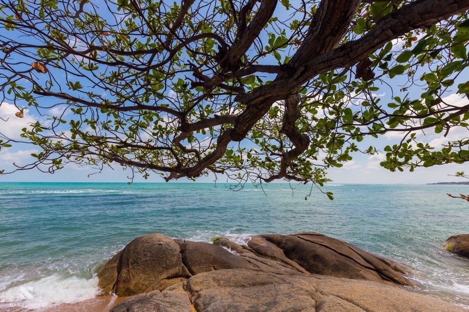 Narzstudio-Koh-samui-wedding-photographer